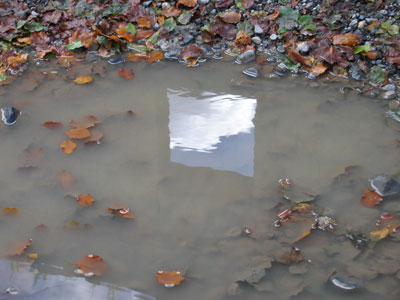 Af vand er du kommet