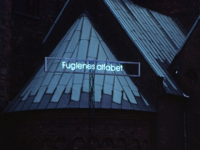 "Fuglenes alfabet" ved Århus Domkirke. (billede 1 af 4)